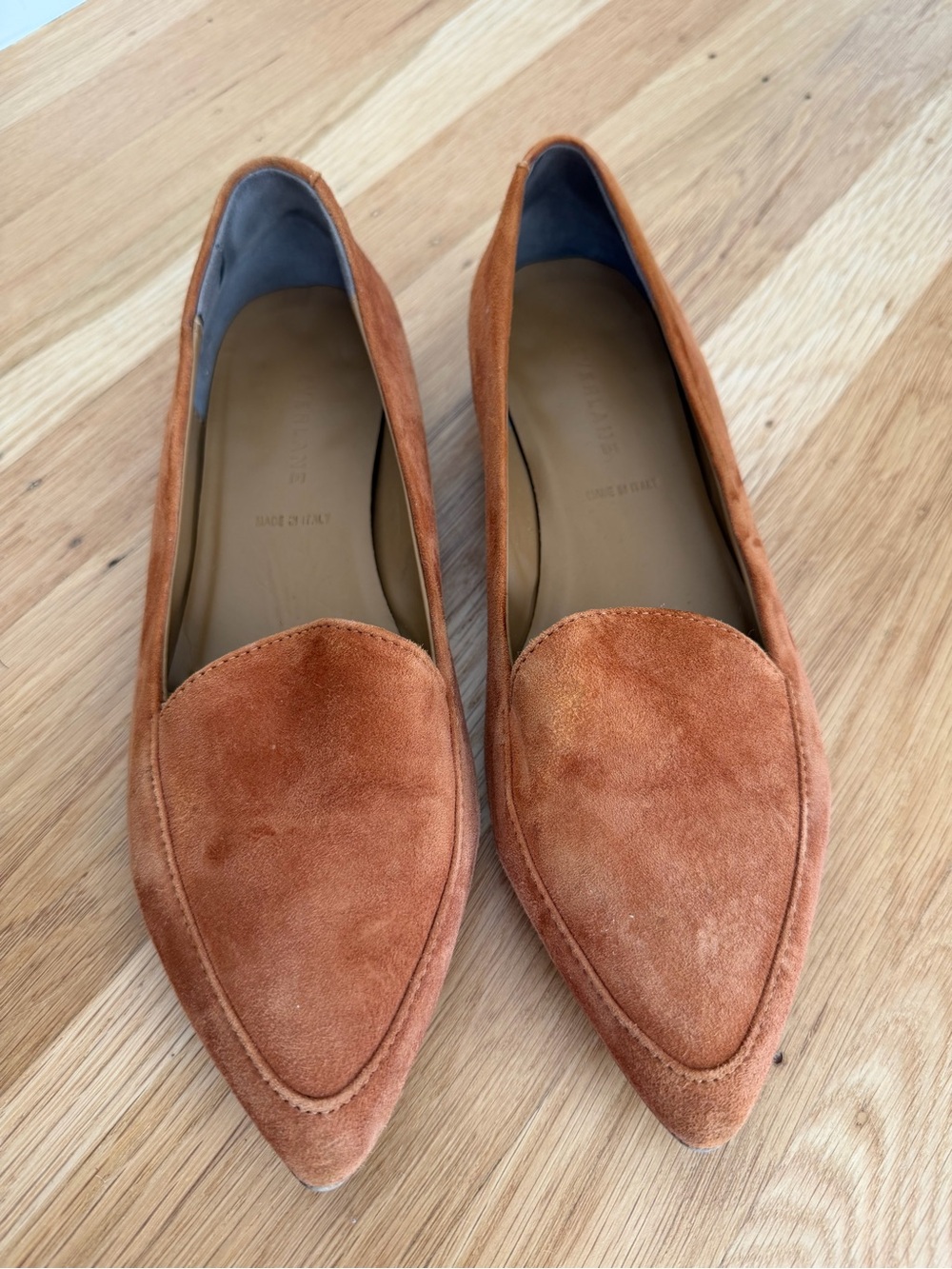 Everlane Terracotta Suede Pointed Flats